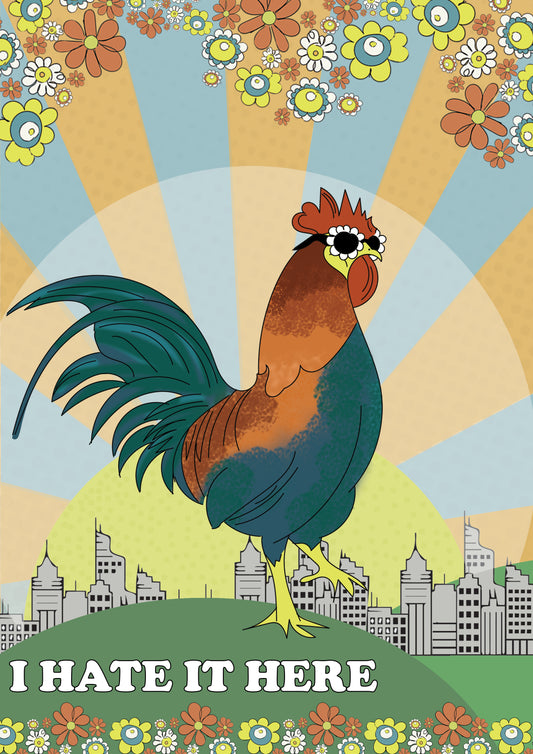 Groovy Rooster